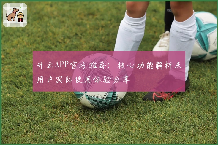 开云APP官方推荐：核心功能解析及用户实际使用体验分享