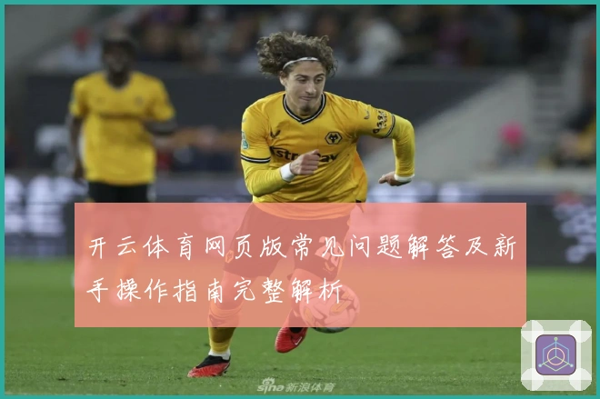 开云体育网页版常见问题解答及新手操作指南完整解析
