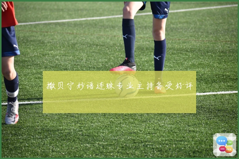 撒贝宁妙语连珠专业主持备受好评