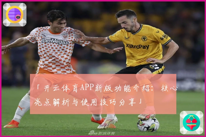 「开云体育APP新版功能介绍：核心亮点解析与使用技巧分享」